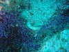 sm_PA256429.JPG