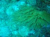 sm_PA256431.JPG