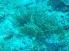 sm_PA256432.JPG