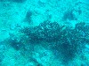 sm_PA256433.JPG
