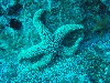 sm_PA256438.JPG