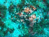 sm_PA256439.JPG