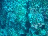 sm_PA256440.JPG