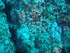 sm_PA256441.JPG