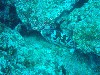 sm_PA256443.JPG
