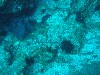 sm_PA256445.JPG