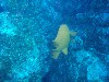 sm_PA256447.JPG