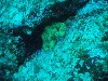 sm_PA256450.JPG