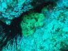 sm_PA256451.JPG
