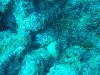 sm_PA256452.JPG