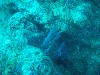 sm_PA256453.JPG