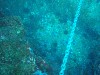 sm_PA256454.JPG