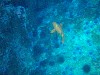 sm_PA256455.JPG