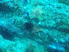sm_PA256470.JPG