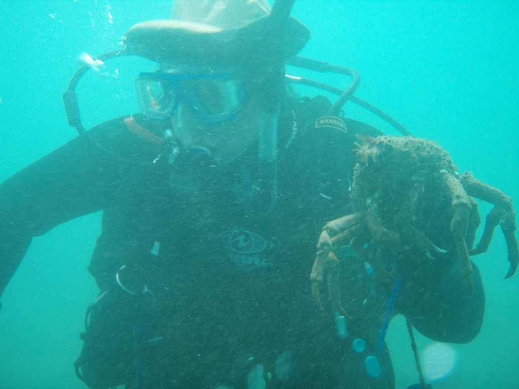 sm_P1186493.JPG