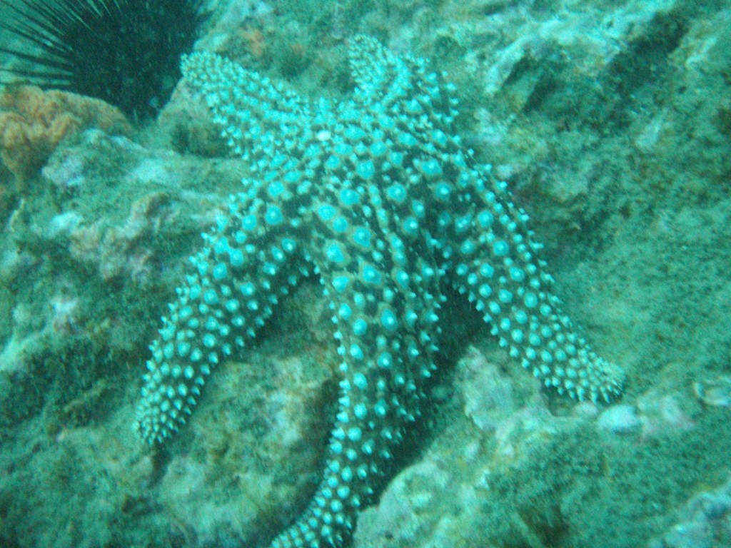 sm_P1186505.JPG