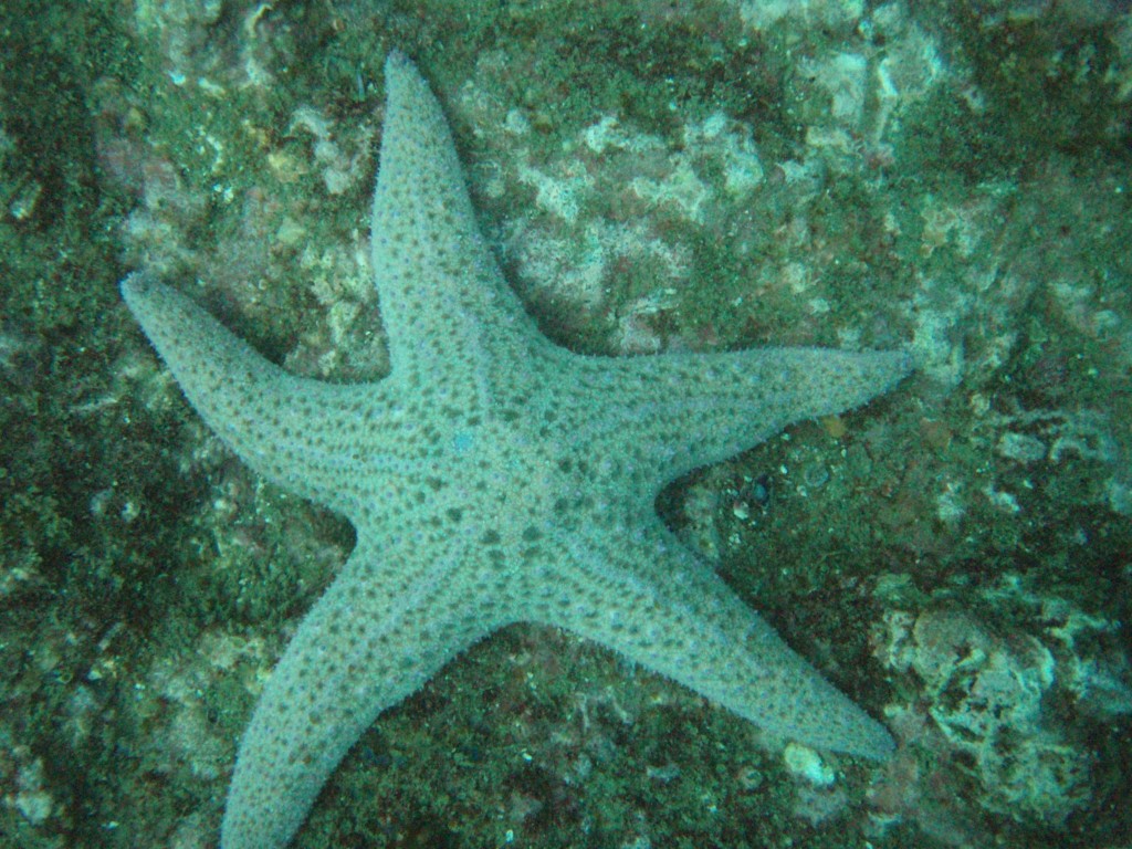 sm_P1186516.JPG