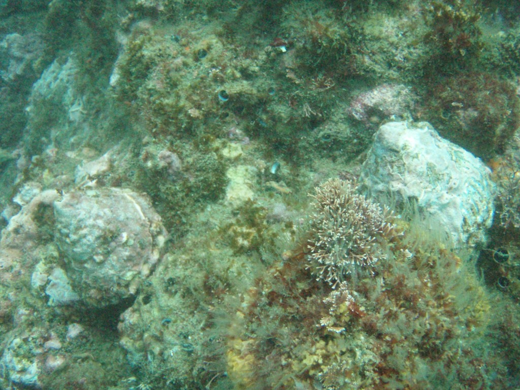 sm_P1186519.JPG