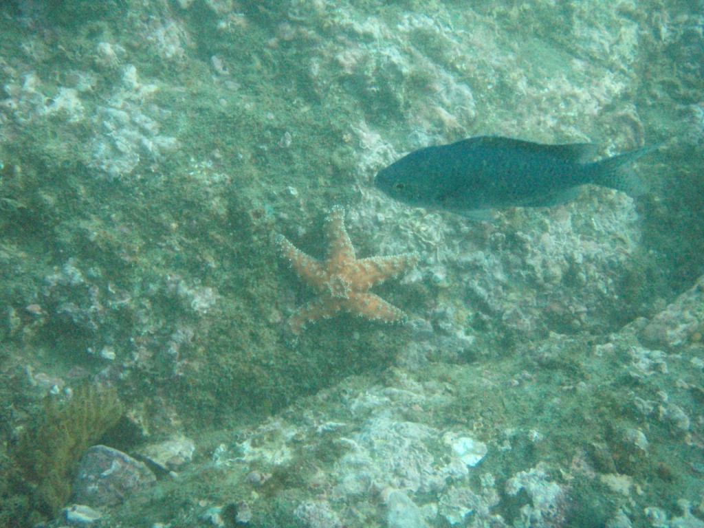 sm_P1186520.JPG