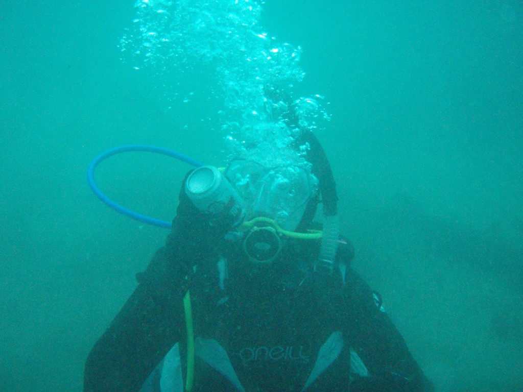 sm_P1186530.JPG