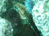 sm_P1186498.JPG