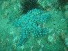 sm_P1186501.JPG