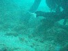 sm_P1186506.JPG