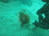 sm_P1186510.JPG