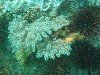 sm_P1186513.JPG