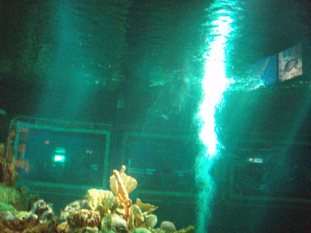 sm_P5056984.JPG