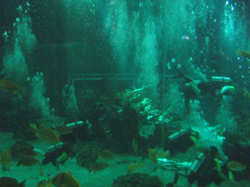 sm_P5056986.JPG