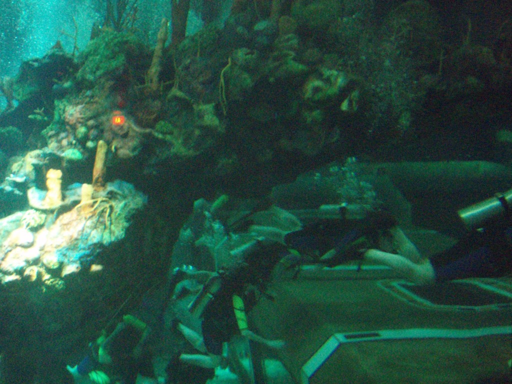 sm_P5056987.JPG