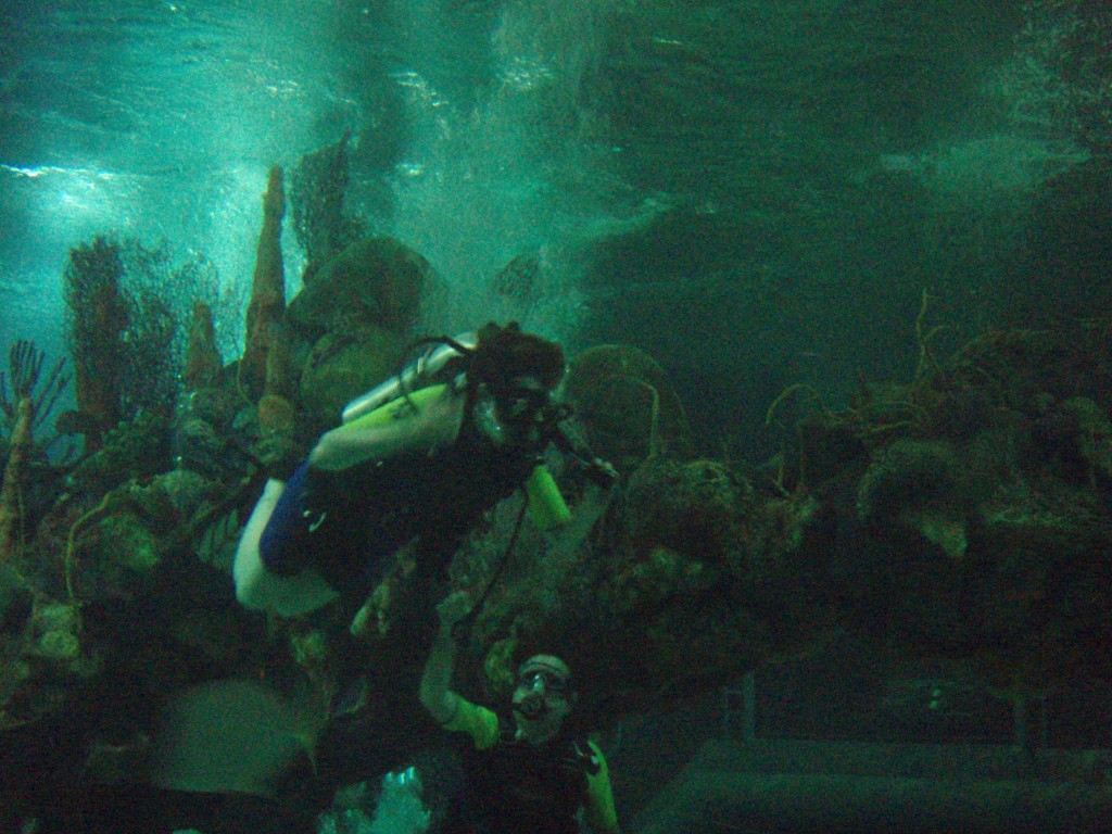 sm_P5056988.JPG
