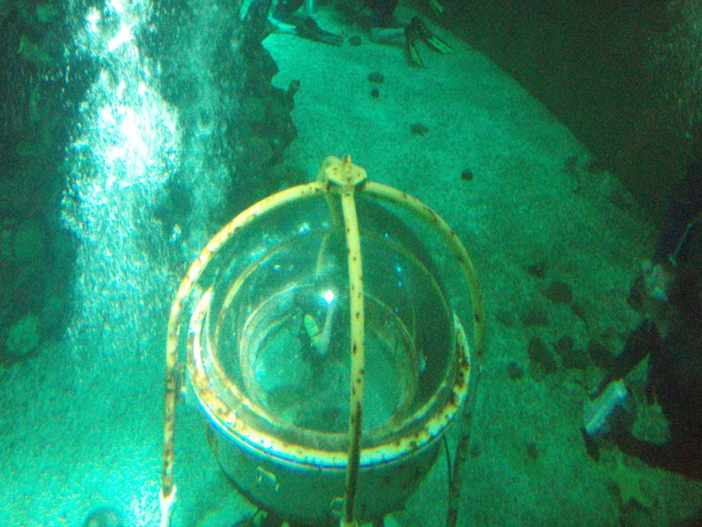 sm_P5056993.JPG