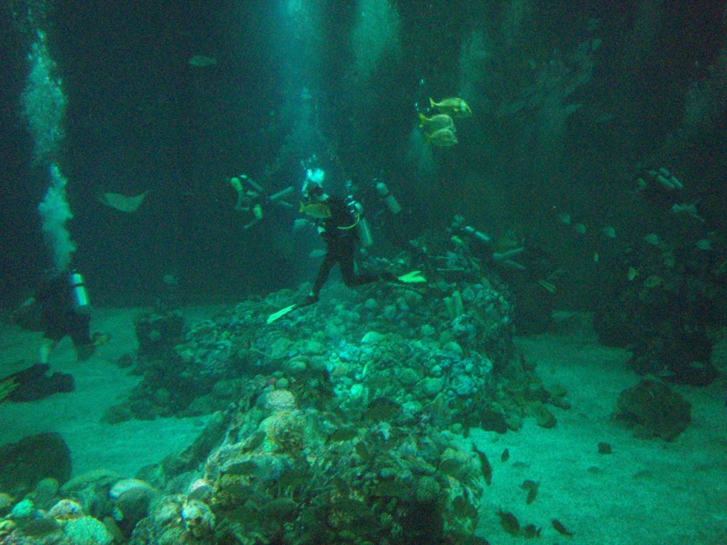 sm_P5056998.JPG