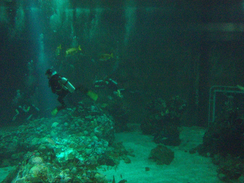 sm_P5056999.JPG