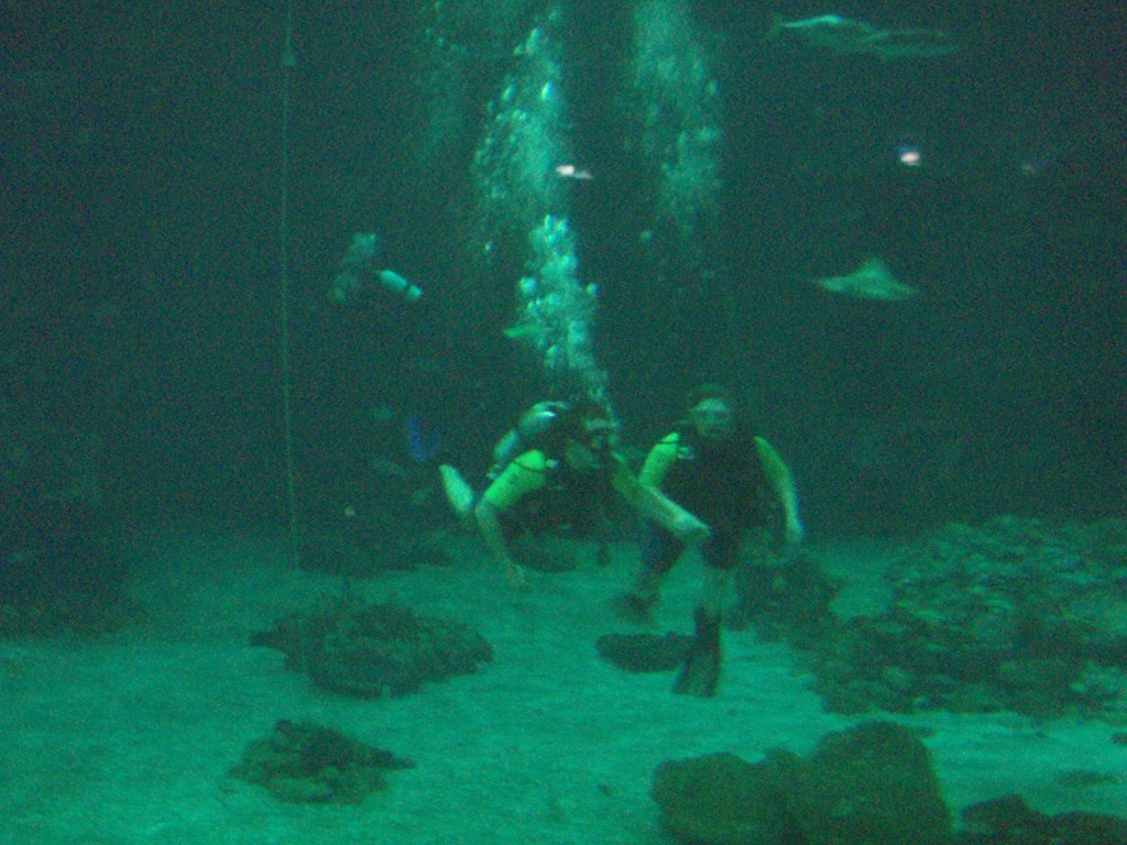 sm_P5057000.JPG