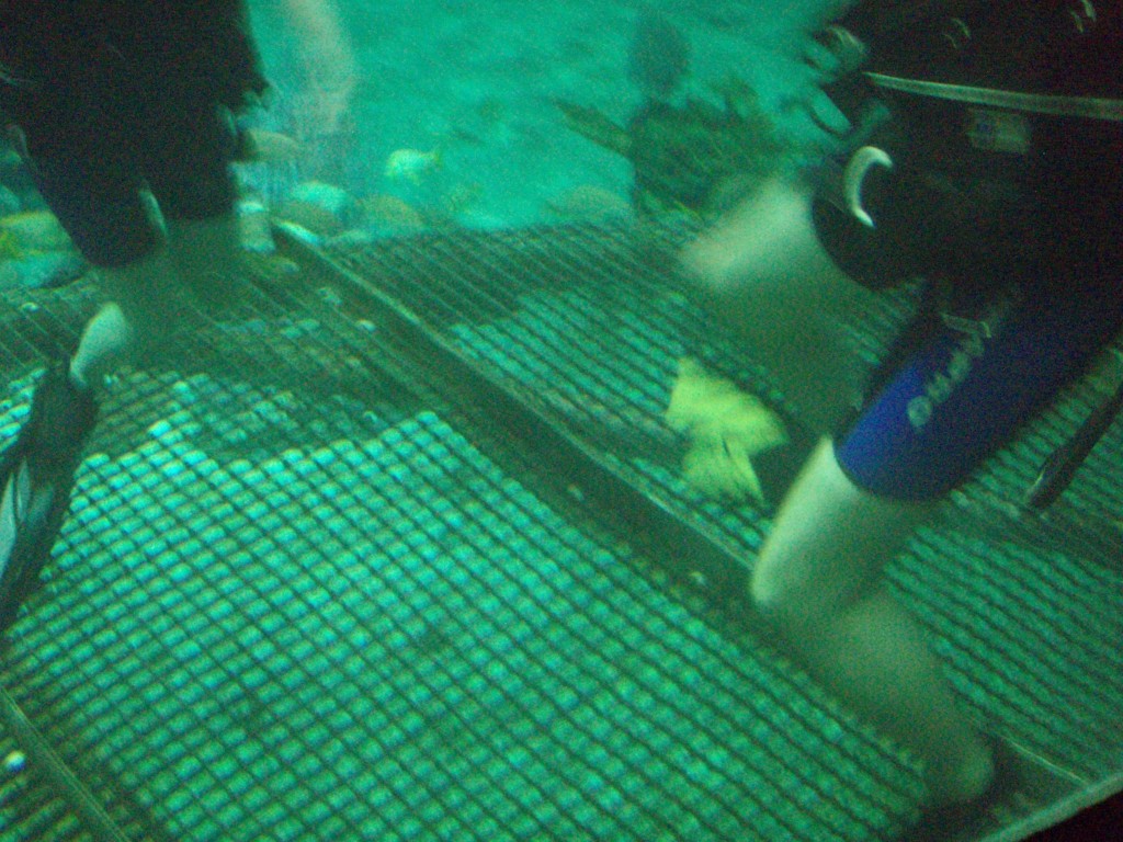sm_P5057007.JPG