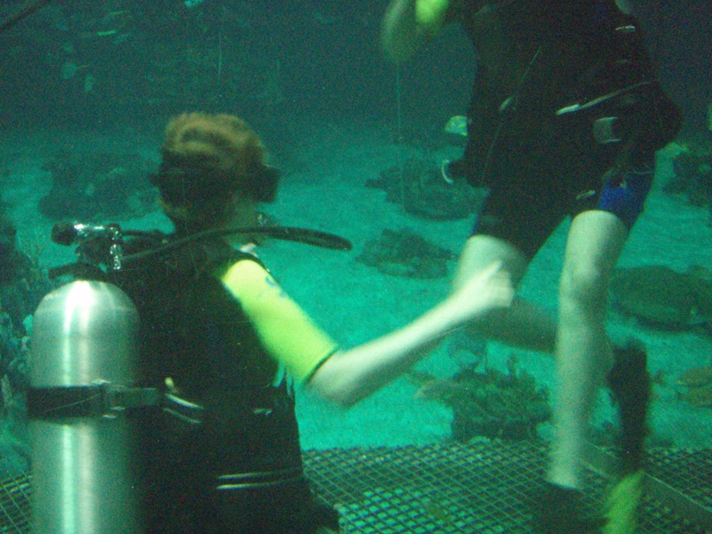 sm_P5057008.JPG
