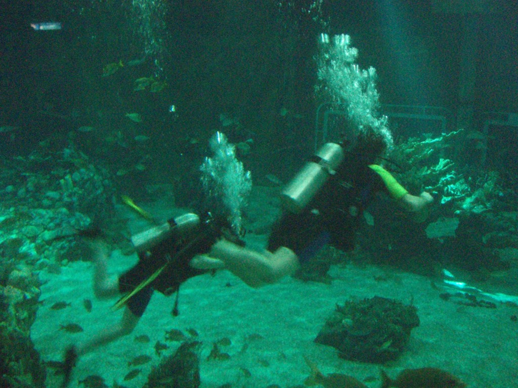 sm_P5057009.JPG