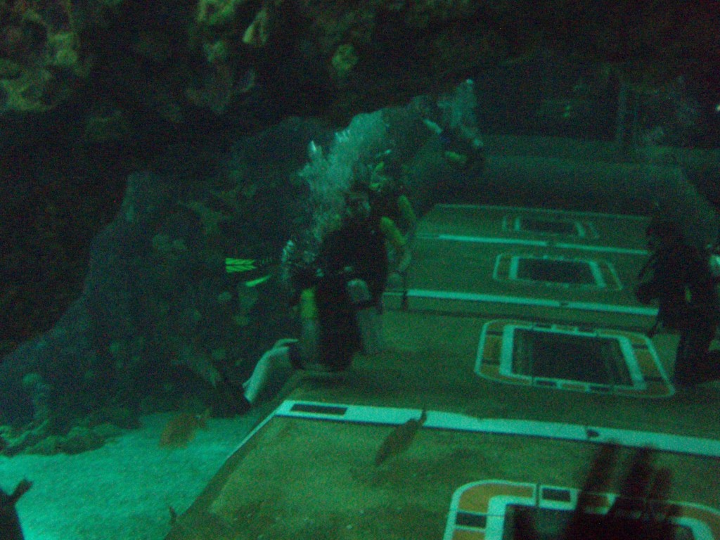sm_P5057013.JPG