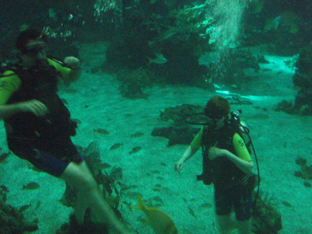 sm_P5057015.JPG