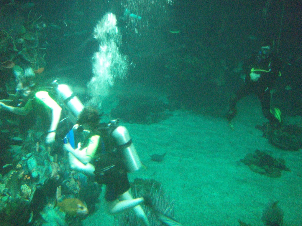 sm_P5057018.JPG