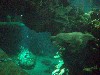 sm_P5056979.JPG
