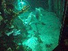 sm_P5056980.JPG