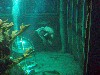 sm_P5056981.JPG
