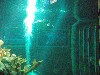 sm_P5056983.JPG
