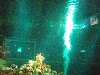 sm_P5056984.JPG