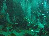 sm_P5056986.JPG