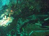sm_P5056987.JPG